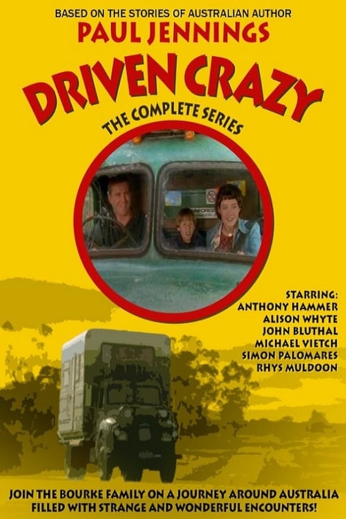 Driven Crazy poster